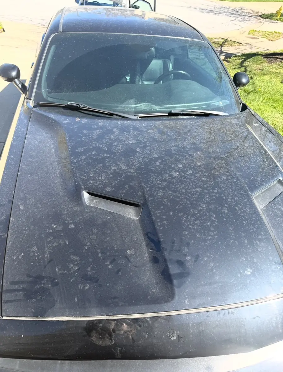 Dodge Challenger hood before a mobile wash, pollen and water spots, Johnson County KS