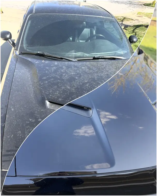 Before and after exterior hand wash and sealant on a black hood, Johnson County KS